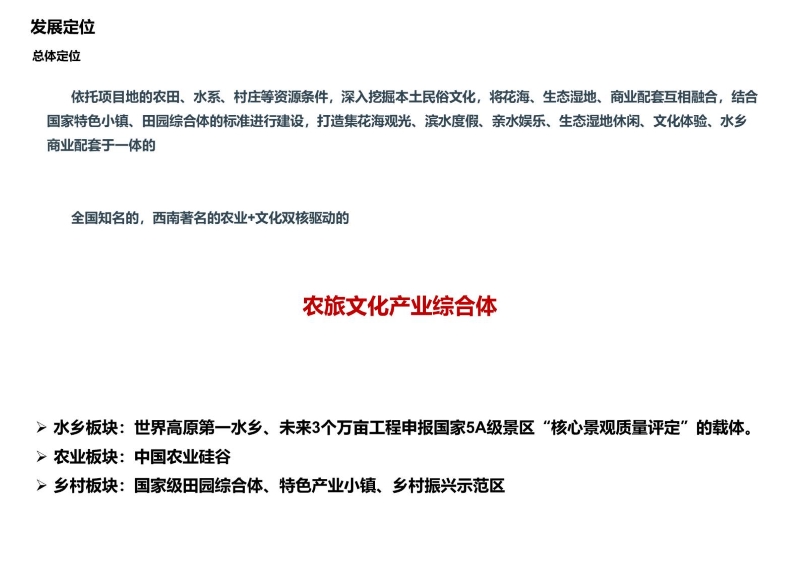 保山开发策划0716 (11).JPG